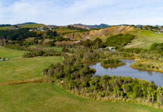 The Fields 15